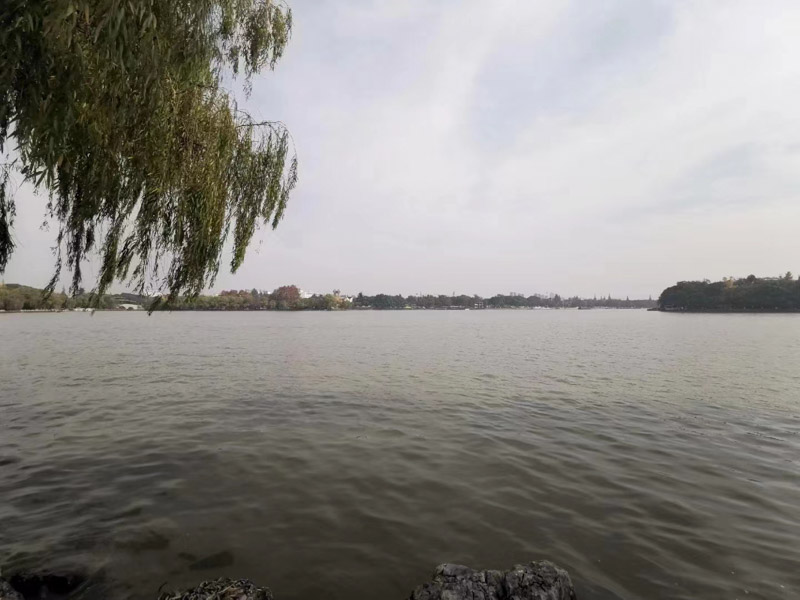 你想知道的公證遺囑法律法規(guī)，坪山律師事務(wù)已整理好