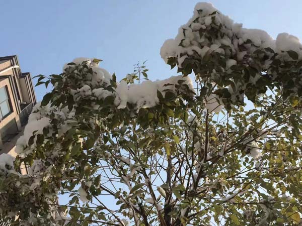 協(xié)議離婚和訴訟離婚到底哪個好？深圳律師事務所幫你做選擇